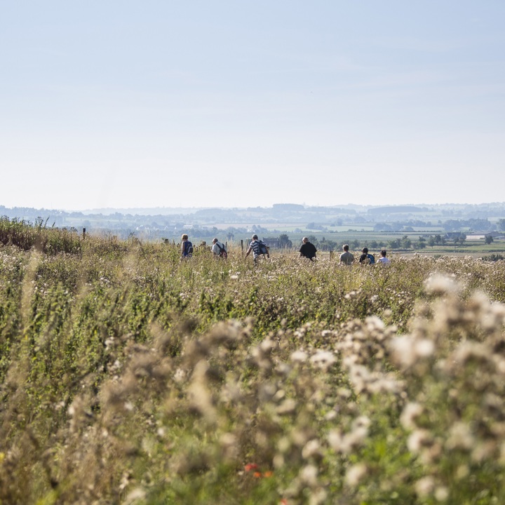 Wandelaars in het Savelsbos met prachtig uitzicht.